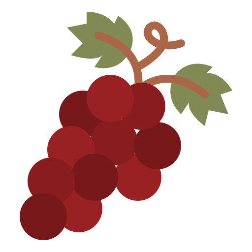 Kontakt des jomima Teams Über uns jomima