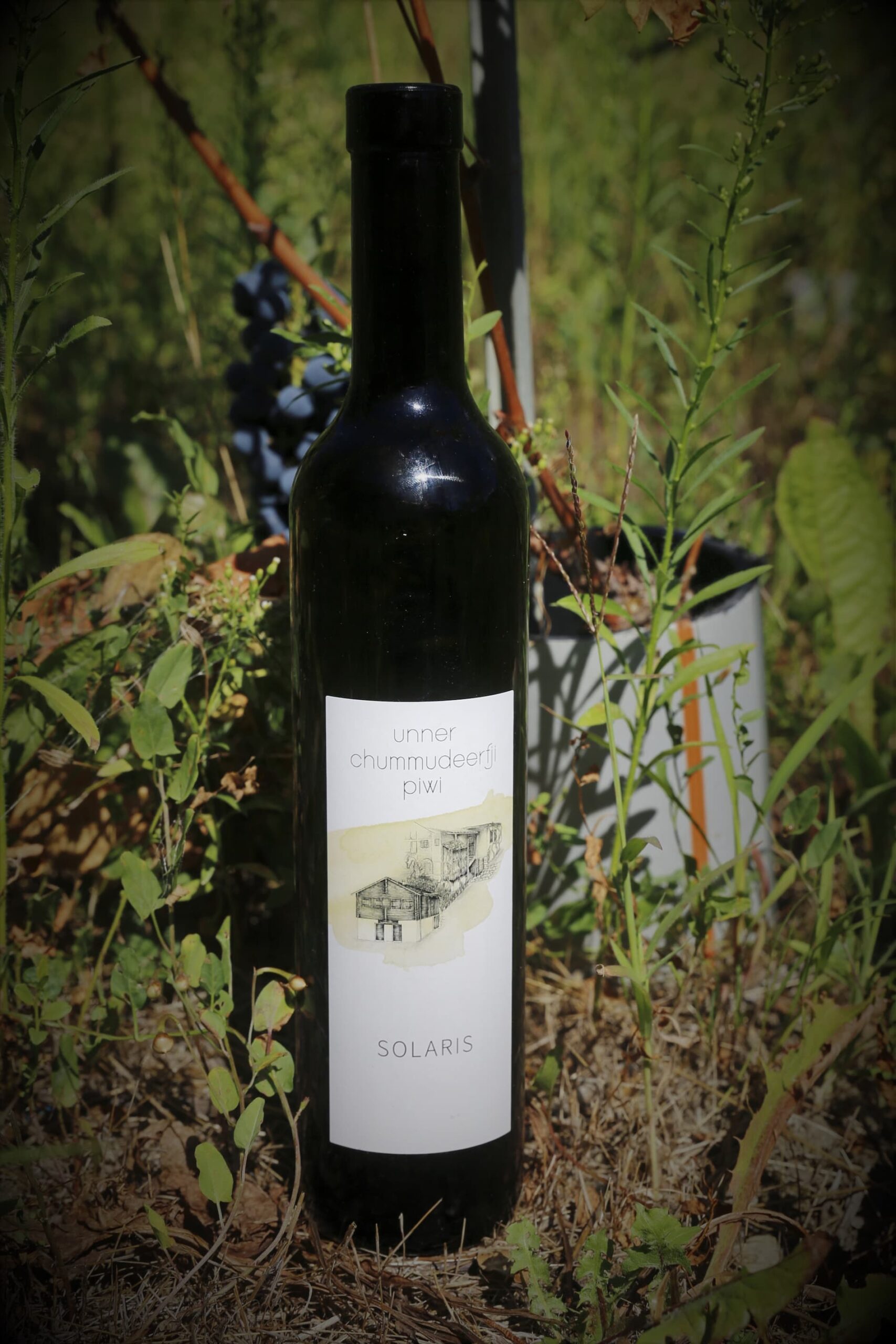 solaris-compressed PIWI Weine Jomima Kellerei